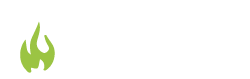 SPALMED_logo_strona